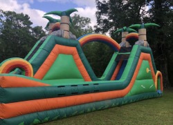 Paradise  Falls Dual Lane